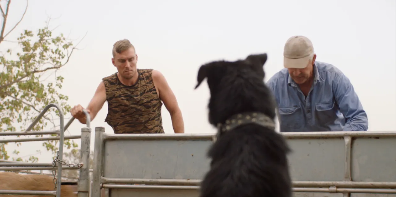 A dog in the foreground watches two farmers over a gate