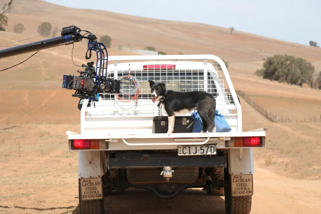 A camera on a crane arm beside a ute with a working dog on the tray